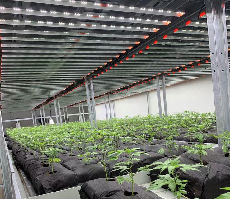 ParfactWorks-Commercial-Grow-Light-Discount