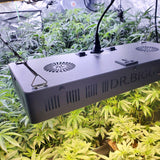 220W CREE COB LED Grow Light with Samsung LM301B Enhancers