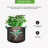 3 GALLON FABRIC GROW POT PLANT CONTAINER (5 PACKS)